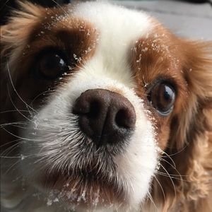 Meet your Posher, Julia